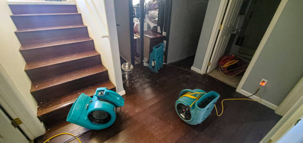 Best Sewage cleanup and water damage restoration  in Gamewell, NC