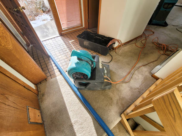 Best 24-hour water damage restoration  in Gamewell, NC