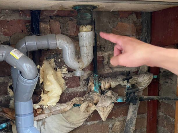 Best Water damage cleanup near me  in Gamewell, NC